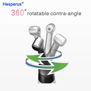 6:<span class=keywords><strong>1</strong></span> <span class=keywords><strong>Super</strong></span> Mini <span class=keywords><strong>Contra</strong></span> Hoek Hoofd Voor Endo Motor Tandheelkundige Heen En Weer Bewegende Endomotor Hoofd Endodontie Compatibel Met Specht - Product Image 3