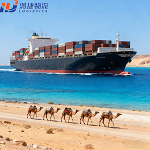 Proveedor de servicios de logística rápido y barato a EE. UU. DDP Transporte marítimo Transitario China a EE. UU. México EAU Nigeria - Product Image 2