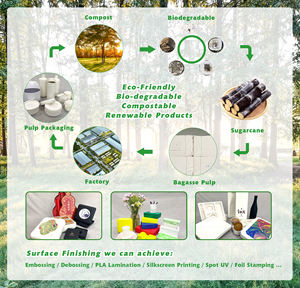 100% compostabile rotondo usa e getta bianco 9 compostabile usa e getta carta di natale forniture per piatti polpa di rene piatti - Product Image 6