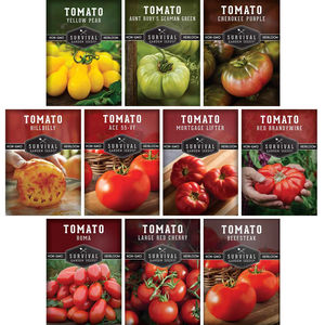 Collection de <span class=keywords><strong>tomates</strong></span>-un arc-en-ciel de variétés de <span class=keywords><strong>tomates</strong></span> <span class=keywords><strong>anciennes</strong></span> - Product Image 6