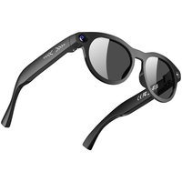 Gafas Inteligentes con IA, Tipo OEM, Carga Tipo-C, Control por Aplicación, Llamadas de Audio y Video, Traducción, Video GPT 1080P, Resistentes al Agua IPX-4