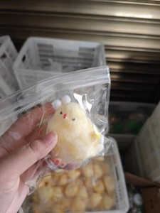 TABA Mignon Poussin de Pâques Kawaii en Peluche, Jouet Anti-Stress Unisexe en Forme de Poulet Mochi, Vente Chaude pour Enfants - Product Image 4