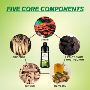 Chiết Xuất Táo Tóc Đen Dầu Gội 500Ml Gừng Tự Nhiên Thuốc Nhuộm Tóc Dầu Gội Không Dính Da Đầu Không Có Amoniac Màu Tóc Dầu Gội Bán Buôn - Product Image 2