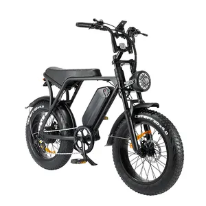 New 20 inch thick tire wheels electric bicycle 50km/h 1000w urban leisure electric bicycle