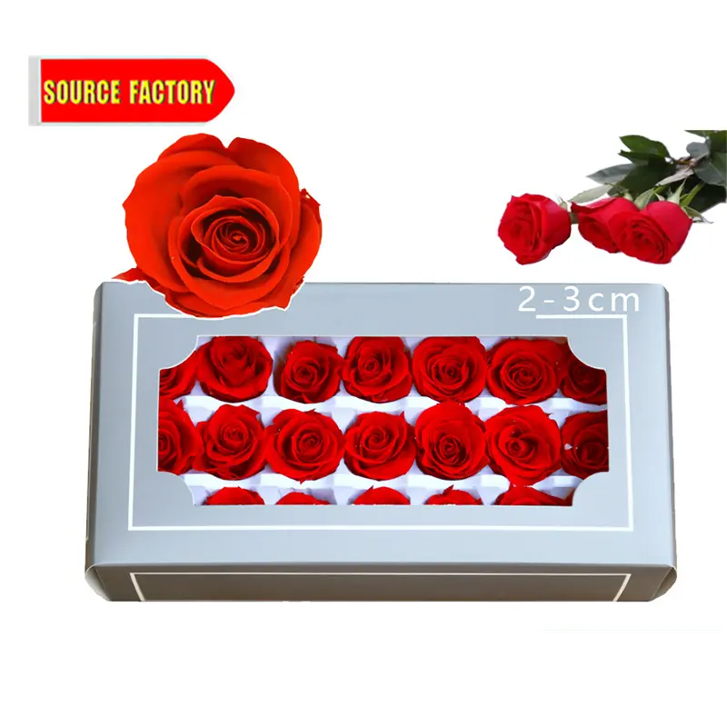 2-3cm अनन्त स्थिर संरक्षित गुलाब सिर में उपहार बॉक्स त्योहार सजावट के लिए शादी का तोहफा सूखे फूल गुलाब