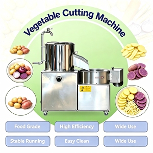 Industrial High Capacity Potato Washing and Peeling Machine with Motor for Small Food Processing Factories - Product Image 1