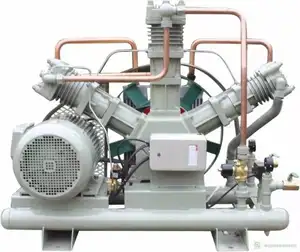 Compressore di riempimento della bombola del gas con tecnologia di produzione professionale AZBEL in vendita