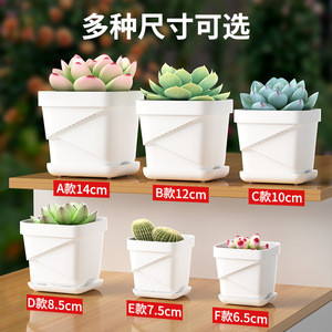 Juego de Macetas para Suculentas Qinfeng, Maceta de Plástico Blanca de 8 cm para Escritorio, Jardinería en Casa, Transpirable, Resistente y Duradera - Product Image 4