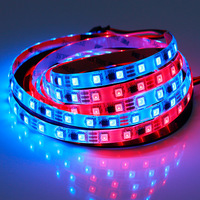 Bande lumineuse LED RGB adressable WS2811 SMD 5050 DC12V/24V IP68 étanche, fil de cuivre flexible, découpable, pour décoration intérieure