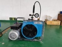 Compresseur d'air haute pression portable PCP 300bar à remplissage rapide pour fusils PCP réservoirs de plongée et pistolets à air comprimé