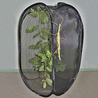 En gros Pliable Transparent En Plastique Pliable Pliable Filet Maille Popup Élevage Terrerium Papillon Habitat Insecte Cage