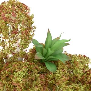 Plantas suculentas de plástico floral baratas 20cm <span class=keywords><strong>Mini</strong></span> <span class=keywords><strong>Agave</strong></span> artificial para Decoración - Product Image 5