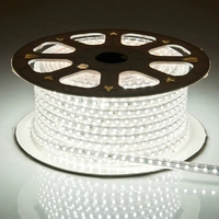 Bande lumineuse LED 2835 110v 220v 100m/rouleau Étanche