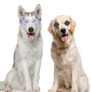 Lunettes de soleil pour animaux de compagnie en gros pour chat et chien divers types d'accessoires pour animaux de compagnie ornements vêtements accessoire pour chats <span class=keywords><strong>cool</strong></span> - Product Image 5