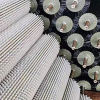 Machine de nettoyage à rouleaux de brosse industrielle Genesis de haute qualité, DIY OEM, pour l'élimination de la rouille, le polissage et le dépoussiérage des sols en bois, garantie 0,5 an