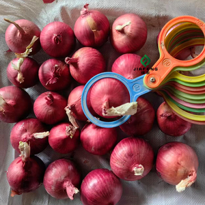 Cebollas Rojas y Amarillas Frescas, Plus Chalotes Amarillos, Paquete de 50 kg de Vegetales, Pedido al por Mayor Económico - Product Image 5