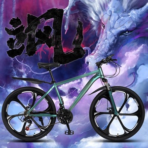 Bicicletta da Montagna Chameleon, Modello Personalizzabile, Logo Personalizzabile, Forcella a Molla, Doppi Freni a Disco, Telaio Rigido, Contatto Online - Product Image 2