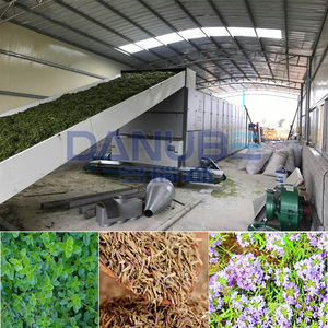 Machine de séchage à bande en maille pour aliments et légumes de type travail continu de grande capacité de marque Danube - Product Image 2