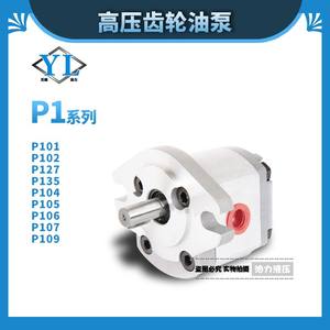 Pompes à engrenages à piston haute pression série P1 P101/102/127/135/104/105/106 Pompe à huile hydraulique à haut rendement Neuve et d'occasion - Product Image 2