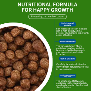 High-Protein High-Nutrition <span class=keywords><strong>Aquatic</strong></span> <span class=keywords><strong>Turtle</strong></span> <span class=keywords><strong>Food</strong></span> Factory Atacado com amostras grátis Pet <span class=keywords><strong>Food</strong></span> especial para tartarugas - Product Image 3
