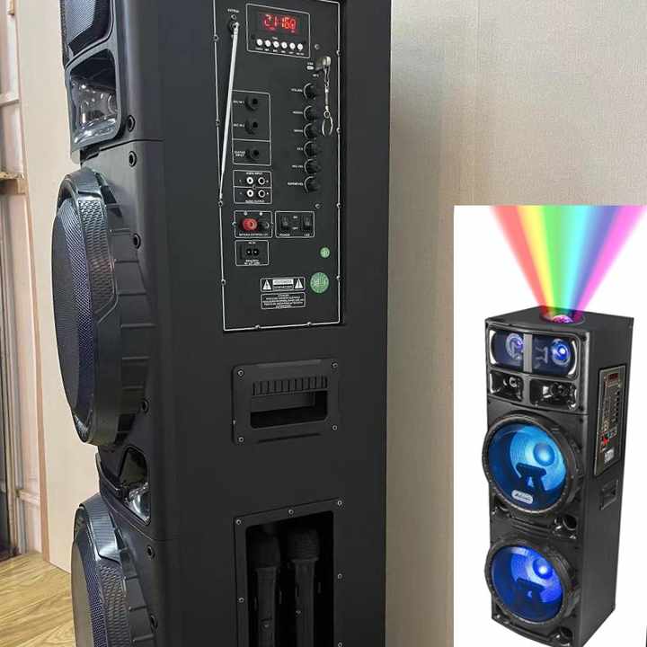 Party Dual 12 Inch Speaker with LED Lights & Wireless Mic
