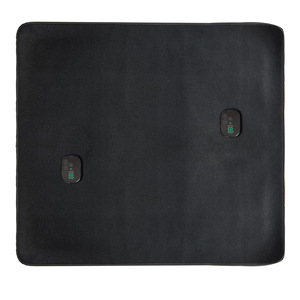 Dispositivo de Terapia de Luz Roja para Recuperación de Lesiones Abdominales en Caballos, Relajación Muscular, Curación de Fracturas, Uso Doméstico Inalámbrico - Product Image 1