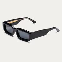 LBAshades 2412 Lunettes de soleil rectangulaires de luxe rétro de marque de créateur, polarisées, avec logo personnalisé, en acétate, pour hommes et femmes, collection 2025