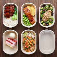 Topverkochte 700ml ovale suikerrietpulp takeaway container 24oz milieuvriendelijke verpakking herbruikbare wegwerpopties deksel voor