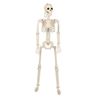 Neues Halloween Plastik-Skelettmodell 90cm mit Beweglichen Gelenken Lehrmittel Aufhängbar zur Dekoration Escape Room Requisiten
