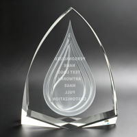 Trophée d'entreprise personnalisé givré Neelpure 140566 à faible MOQ pour cérémonies de remise des prix d'entreprise et de compétitions scolaires