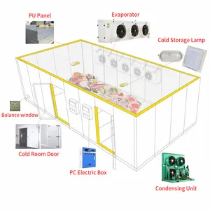 Meat Fish Blast Freezer Walk In Cold Storage Room Price