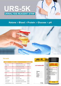 Bandelettes de test <span class=keywords><strong>urinaire</strong></span> multiparamètres : <span class=keywords><strong>glucose</strong></span>, pH, protéines, sang occulte, leucocytes - Product Image 5
