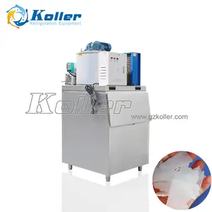 Sea/Fresh Water Flake Ice Machine for Fishery food 10 ton Flake Ice Maker