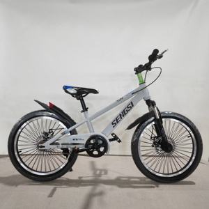 Bicicletta per Bambini a Singola Velocità a Basso Prezzo, Piccola Mountain Bike con Forcella Ammortizzata - Product Image 1