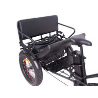 KUAKE Nouveau Design Tricycle Électrique à Conduite Assistée 750w Ebike avec Moteur Bafang Tricycle Électrique Cargo Pneus Gras 3 Roues Trike pour Famille
