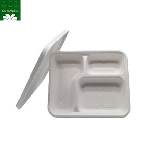 مخصص قصب السكر القابل للتحلل 3 ثلاثة صحن غداء قصب السكر الصديق للبيئة مع غطاء - Product Image 4