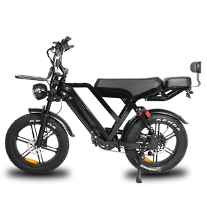 Bicicletta <span class=keywords><strong>Elettrica</strong></span> a Due Posti con Pneumatici Fat da 20 Pollici, <span class=keywords><strong>Bici</strong></span> <span class=keywords><strong>Cargo</strong></span> Ibrida da 250W, Design E-Bike Fuoristrada VOMO X50 - Product Image 1