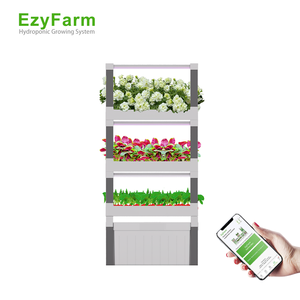 Reconectar con la naturaleza Contenedor interior Seta de fresa Sistema de cultivo de vegetales - Product Image 1