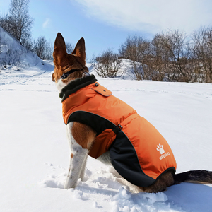 Abrigo para mascotas de tela de poliéster OEM ODM 100%, abrigo Cálido impermeable para perros grandes en naranja para deportes al aire libre, uso informal para invierno - Product Image 1