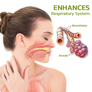 สเปรย์สมุนไพรทำความสะอาดปอด 30 มล. - ละลายเสมหะ <span class=keywords><strong>แก้</strong></span>ปัญหาการนอนกรนและคัดจมูก สำหรับผู้สูบบุหรี่ บรรเทาอาการคอแห้ง และช่วยให้หายใจสะดวก - Product Image 3