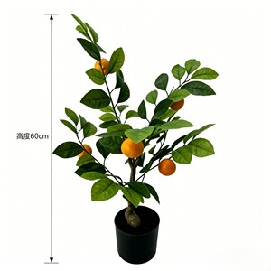 Vibrant Fresh <b>Potted</b> Citrus Fruit <b>Tree</b> with plump vivid fruits for supermarket display courtyard landscape living room - Product Image 2