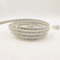Bande lumineuse LED flexible enroulable étanche 110V 220V SMD2835 50m 100m 144 120 LED 220V