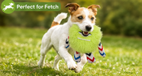 Jouet à tirer pour chien en peluche monstre avec corde tressée, jouet interactif couineur pour chien pour jeu de la corde, adapté aux chiens