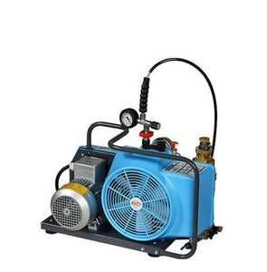 Bomba de Aire BC163099B con Compresor de Aire - Product Image 5