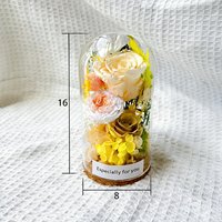 Roses éternelles préservées sous cloche en verre, fleurs séchées pour la Saint-Valentin, anniversaire, remise de diplôme, cadeaux romantiques, décoration intérieure