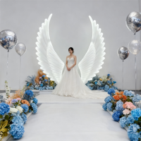 Accessoires de scène de mariage romantiques et élégants, lumières décoratives LED lumineuses en fer, ailes d'ange pour allée, décorations d'événements YN