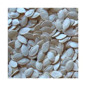 Wholesale Factory Price Shine Skin Pumpkin Seeds Kernel Low Price