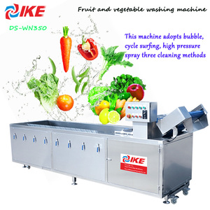 Ozone Vegetable Washing Machine Industrial Large Food High Pressure Spray Washing Machine Ozone Good Wash Vegetable Effect
