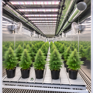 Unidad de Cultivo Inteligente Automatizada en Contenedor, con Luz LED de Espectro Completo, Cubierta de HDPE, para Cultivo Acuapónico, Aeropónico y sin Suelo - Product Image 6