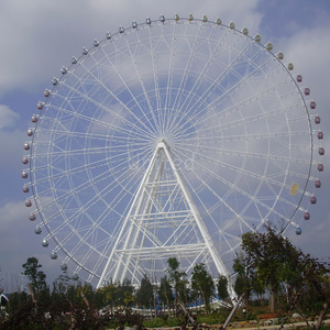 Il brivido della nostra ruota panoramica al parco divertimenti cavalca l'esperienza - Product Image 2